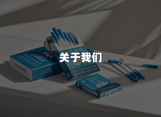 专业团队